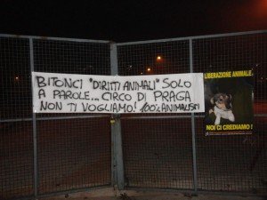 blitz vs circo di Praga (1)