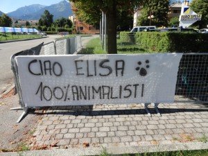 Palio di Feltre 7 agosto  2016  (3)