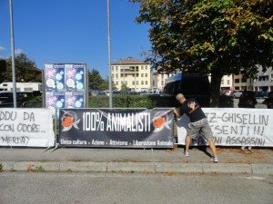 Palio di Feltre 7 agosto  2016  (5)